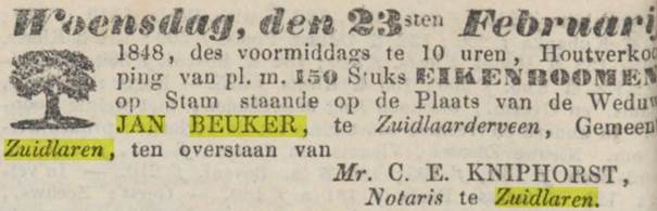 Een paar week later werden de bomen uit het Beukersbos verkocht: 150 eiken.